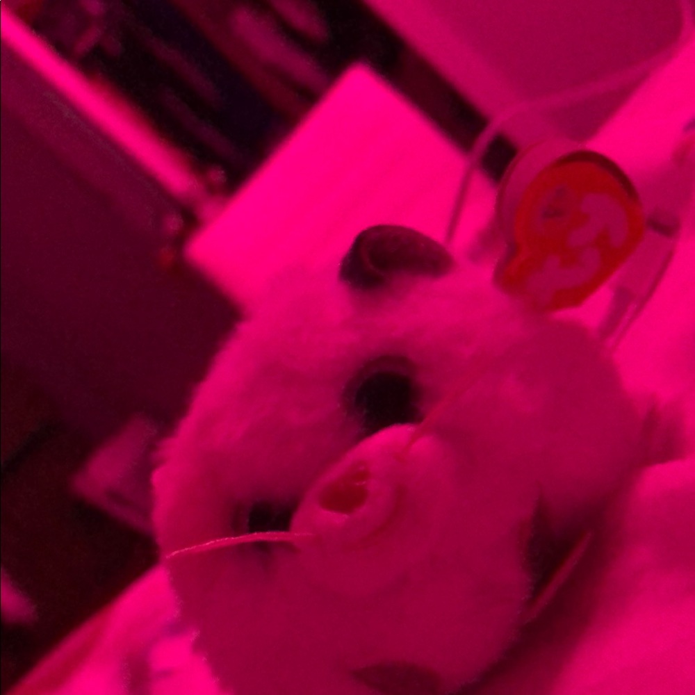 Cute Plush Toy with Heart Design